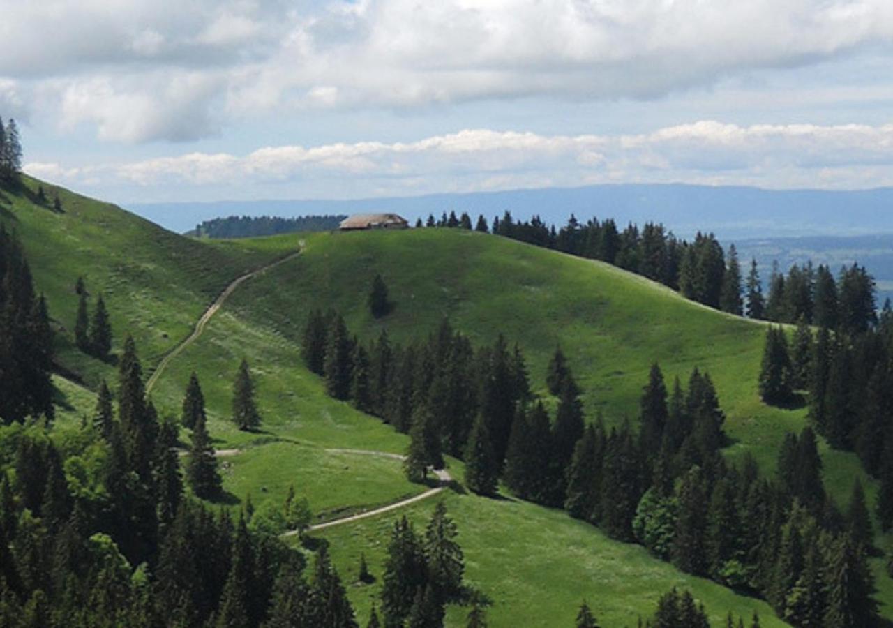 Au Petit Gite Les Paccots Châtel-Saint-Denis Exteriér fotografie
